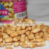 Hot Sale Chinese Canned Roasted Peanuts for Sale