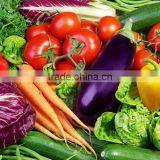 CE Approved and New Condition Vegetable Washing Machine Restaurant Washer Machine for Fruit thumbnail-4