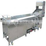 PT-2000 Automatic Stainless Steel Leafy Vegetable Blanching Machine thumbnail-3