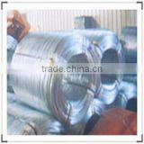 Electro Galvanized Iron Wire(factory &importer) thumbnail-1
