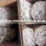 PU Ball TPU Ball Message Ball Silicone Ball Sifter Cleaning Ball White Rubber Ball Oil Resistance thumbnail-4