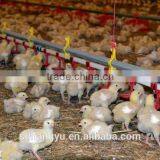 Poultry Farm Equipment For Chicken Feeder thumbnail-4