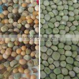 Pea Color Sorter Machine thumbnail-2