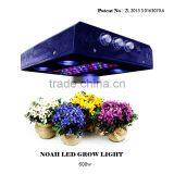 China Noah Patent Product Cob Full Spectrum Led Grow Light for Medical Plants thumbnail-1