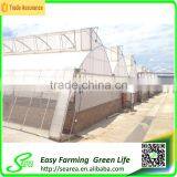Hot Sale Small Size Agriculture Solar Tent/green House for Sale thumbnail-2
