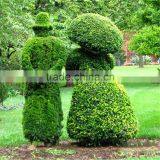 2017 Hot Sale Manufacturer Artificial Grass Cutter Animal Topiary thumbnail-2