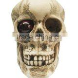 2017 Hot Sale High Quality Hand Carved Polyresin Skull for Decoration thumbnail-1