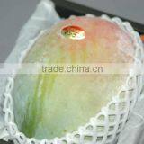 EPE Plastic Safe Biodegradable Fruit Foam Netting thumbnail-6