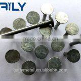 China Factory Supply Umbrella Head Roofing Nails thumbnail-2