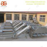 Onion Sorting Machine|Onion Grading Machine for Sale|Professional Onion Picking Machine thumbnail-4