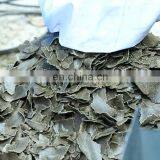 6YL High Efficiency Oil Extraction Oil Press Machine thumbnail-6