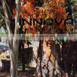 Theme Park and Public Area Animatronik Dinozor thumbnail-6