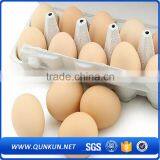 New Technology Plastic Eggs Tray With Cover thumbnail-1