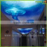 Vinyl Decorative Vinyl Temperature Sticker thumbnail-1