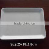 Customized Different Sizes PS Disposable Plastic Food Tray