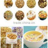Corn Flakes/Breakfast Cereals Extruder thumbnail-1