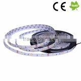 Shen Zhen Original Factory Cheap 5050 12v 30leds Warm White LED Flexible Strip Light thumbnail-2