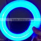 LED Neon Light