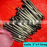 Libya Market Nails thumbnail-4