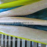 FROZEN WAHOO LOINS thumbnail-4