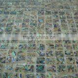 Hot Sale Luxury Triangular Random Mixed Color Spell Shell Mosaic Tiles thumbnail-4