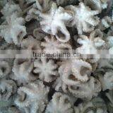 good quality cheap price IQF Frozen baby octopus for sale