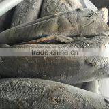 Good Quality Frozen HGT Hamachi in 2016 thumbnail-3