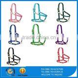 Adjustable Premium Nylon Horse Halter thumbnail-5