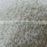 VIETNAM GLUTINOUS RICE 10% BROKEN- VINAFOOD1 MEKONG DELTA BRANCH