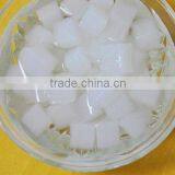 Nata de Coco for Bubble Tea Drinkings