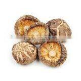 Dried Shiitake Mushroom Wholesale in China thumbnail-4