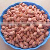 Chinese Long Type Peanuts Kernel thumbnail-1