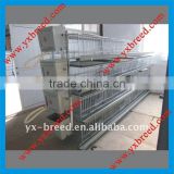 China factory automatic commercial broiler battery cages