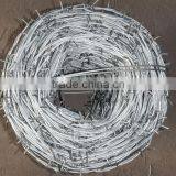 Barbed Wire thumbnail-1