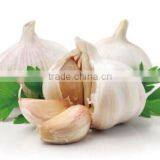 Garlic Oil, Garlic Oil Bulk, Garlic Oil Extraction thumbnail-4