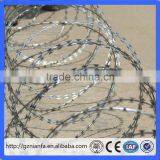 450mm 3 Clips BTO 22 Galvanized Razor Barbed Wire to Philippines(Guangzhou Factory) thumbnail-3