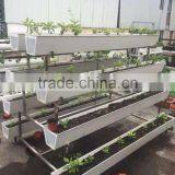 Food Grade NFT Gully for Vertical Farm