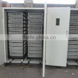 Large Hatchery Machine for Keep Baby Chicken Warm WQ-22528