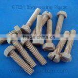 PEEK Slotted Hex Screws thumbnail-1