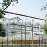 BaoLiDa Single Span Hollow Glass Hot-dip Galvanized Steel Cucumber Greenhouse thumbnail-4