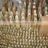 FACTORY PRODUCUNG WholeSale 2017 ONYX OBELISKS HANDICRAFTS thumbnail-1