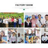 Steel Glazed Roof Tile Roll Forming Machine thumbnail-2