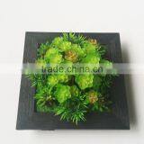 Wholesale Ornamental Plants Small Plastic Succulent Plant Bonsai thumbnail-5