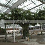 Artificial Banyan Tree Indoor Decoration New Styles/design Customized Artificial Ficus Tree thumbnail-2