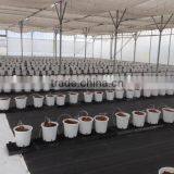 Eco-friendly Ground Cover thumbnail-6