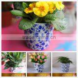 Decorative Ceramic Flower Pot thumbnail-1