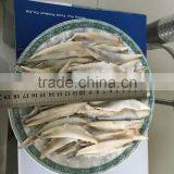 Anchovy Fillets in Vinegar thumbnail-2