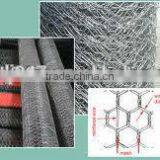 Pvc Coated Hexagonal Wire Mesh ,pvc Cated Hex Wire Fece thumbnail-4