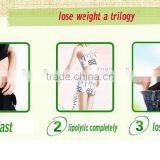 Chinese Lotus Green Tea Natural Herbal Slimming Tea / Wholesale Green Tea Fanning Detox Slim Tea for Lady Beauty and Man Witho thumbnail-6