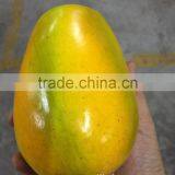 Artificial Similation by 90 % Fruit and Vegetable Prices With Mango, Banana, Starfruit, Pomelo thumbnail-1